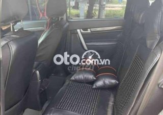 Chevrolet Captiva WinStorm 2007, STĐ, máy DẦU 2.0, bản nhập Hàn full 2007 - WinStorm 2007, STĐ, máy DẦU 2.0, bản nhập Hàn full