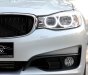 BMW 3 Series 320i-GT 2013 - Cần bán BMW 320i-GT đời 2013, màu bạc, nhập khẩu nguyên chiếc