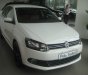 Volkswagen Polo 2016 - Cần bán xe Volkswagen Polo 2016, màu trắng, nhập khẩu