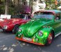 Volkswagen Beetle 1969 - Bán xe Volkswagen Beetle 1969, nhập khẩu