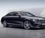 Mercedes-Benz E class 2016 - E 2017 Mercedes-Benz nhập khẩu nguyên chiếc, giao xe ngay tháng 10, đủ màu lựa chọn