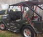 Jeep Wrangler   1989 - Bán xe Jeep Wrangler đời 1989, màu xanh lục, xe nhập 