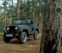 Jeep CJ   1980 - Bán xe Jeep CJ đời 1980, xe nhập, giá tốt