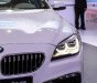 BMW 6 Series 640i Gran Coupe 2016 - Bán BMW 6 Series đời 2016, màu trắng, xe nhập