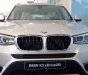 BMW X3 xDrive 20i 2016 - BMW Đà Nẵng bán xe BMW X3 xDrive 20i 2016 giá tốt