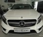 Mercedes-Benz GLA-Class GLA45 AMG 2016 - Bán Mercedes GLA45 AMG sản xuất 2016, màu trắng, nhập khẩu nguyên chiếc, khuyến mãi lớn cuối năm