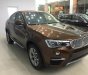 BMW X4 2017 - Bán xe BMW X4 2017, màu nâu, nhập khẩu nguyên chiếc, ưu đãi lớn dịp khai trương