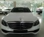 Mercedes-Benz E200 2016 - Bán xe Mercedes E200 Class model 2017, full màu, lái thử miễn phí, giao ngay