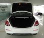 Mercedes-Benz E200 2016 - Bán xe Mercedes E200 Class model 2017, full màu, lái thử miễn phí, giao ngay
