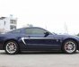 Ford Mustang 2010 - Bán Ford Mustang 2010, xe nhập