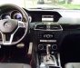 Mercedes-Benz C300 2013 - Bán ô tô Mercedes C300 đời 2013 chính chủ