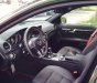 Mercedes-Benz C300 2013 - Bán ô tô Mercedes C300 đời 2013 chính chủ