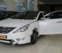 Hyundai Sonata 2.0AT 2010 - Cần bán xe cũ Hyundai Sonata 2.0AT năm 2010, màu trắng, xe nhập