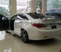 Hyundai Sonata 2.0AT 2010 - Cần bán xe cũ Hyundai Sonata 2.0AT năm 2010, màu trắng, xe nhập