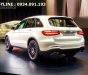 Mercedes-Benz Smart GLC 250 Exclusive  2018 - Bán Mercedes GLC 250 Exclusive đời 2018 - Ưu đãi đặc biệt, xe giao ngay