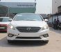 Hyundai Sonata 2018 - Ô tô Hyundai Sonata model 2018 Đà Nẵng, bán xe Hyundai Sonata 2018 Đà Nẵng