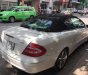Mercedes-Benz CLK class  320 2005 - Chính chủ bán Mercedes Benz CLK320 2005