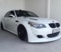 BMW M5 5.0AT 2007 - Cần bán lại xe BMW M5 5.0AT đời 2007, màu trắng, nhập khẩu