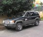 Jeep Grand Cheroke   1994 - Cần bán Jeep Grand Cheroke 1994, màu đen, nhập khẩu, giá 225tr