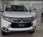 Mitsubishi Pajero Sport 2017 - Bán Mitsubishi Pajero Sport 2017 tại Quảng Bình, Quảng Trị, Huế, xe nhập, giá tốt. LH ngay: 0911.37.2939