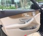 Mercedes-Benz C250 2016 - Bán Mercedes C250 2016, màu đen, nhập khẩu