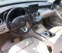 Mercedes-Benz C250 2016 - Bán Mercedes C250 2016, màu đen, nhập khẩu