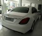 Mercedes-Benz C250 Exclusive 2017 - Cần bán xe Mercedes C250 Exclusive mẫu mới 2017, có đủ màu, giao ngay, giá giảm cực sốc