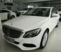Mercedes-Benz C250 Exclusive 2017 - Cần bán xe Mercedes C250 Exclusive mẫu mới 2017, có đủ màu, giao ngay, giá giảm cực sốc