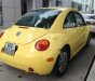 Volkswagen Beetle 2004 - Mình bán xe Volkswagen Beetle 2004, màu vàng, nhập khẩu chính hãng