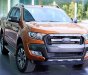 Ford Ranger Wildtrak 3.2 AT 2017 - Cần bán xe Ford Ranger Wildtrak 3.2 AT đời 2017, nhập khẩu