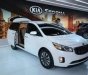 Kia Sedona 2016 - Bán ô tô Kia Sedona đời 2016, màu trắng, nhập khẩu chính hãng