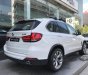 BMW X5 xDrive 35i 2017 - Bán BMW X5 xDrive 35i đời 2017, màu trắng, nhập khẩu nguyên chiếc