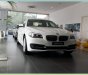 BMW 5 Series 520i 2017 - BMW 5 Series 520i 2017, màu đen, nhập khẩu chính hãng. Bán xe BMW chính hãng tại Gia Lai