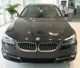 BMW 5 Series 520i 2017 - BMW 5 Series 520i 2017, màu đen, nhập khẩu chính hãng. Bán xe BMW chính hãng tại Gia Lai