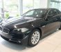 BMW 5 Series 520i 2017 - BMW 5 Series 520i 2017, màu đen, nhập khẩu chính hãng. Bán xe BMW chính hãng tại Gia Lai