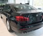 BMW 5 Series 520i 2017 - BMW 5 Series 520i 2017, màu đen, nhập khẩu chính hãng. Bán xe BMW chính hãng tại Gia Lai
