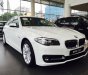 BMW 5 Series 520i 2017 - Bán xe BMW 5 Series 520i 2017, màu trắng, nhập khẩu chính hãng, giá rẻ nhất