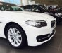 BMW 5 Series 520i 2017 - Bán xe BMW 5 Series 520i 2017, màu trắng, nhập khẩu chính hãng, giá rẻ nhất