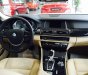 BMW 5 Series 520i 2017 - Bán xe BMW 5 Series 520i 2017, màu trắng, nhập khẩu chính hãng, giá rẻ nhất