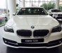 BMW 5 Series 520i 2017 - Bán xe BMW 5 Series 520i 2017, màu trắng, nhập khẩu chính hãng, giá rẻ nhất