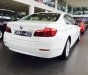 BMW 5 Series 520i 2017 - Bán xe BMW 5 Series 520i 2017, màu trắng, nhập khẩu chính hãng, giá rẻ nhất