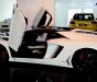 Lamborghini Aventado Roadster 2016 - Bán ô tô Lamborghini Aventado Roadster đời 2016, màu trắng, nhập khẩu chính hãng