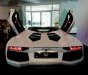 Lamborghini Aventado Roadster 2016 - Bán ô tô Lamborghini Aventado Roadster đời 2016, màu trắng, nhập khẩu chính hãng