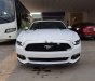 Ford Mustang 2.3AT 2015 - Cần bán Ford Mustang 2.3 2015, màu trắng, xe nhập