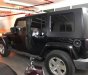 Jeep Wrangler Rubicon. 2010 - Bán Jeep Wrangler Rubicon năm 2010, màu đen, xe nhập 