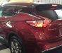 Nissan Murano Platinum 2017 - Bán ô tô Nissan Murano Platinum đời 2016, màu đỏ, nhập từ Mỹ một chiếc duy nhất tại Việt Nam