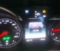 Mercedes-Benz C250 2015 - Bán ô tô Mercedes C250 đời 2015, màu đen xe gia đình