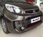 Kia Morning Si 2017 - Bán xe Kia Morning Si màu nâu tại Đồng Nai, giá 383tr, ngân hàng hỗ trợ đến 80%, lấy xe chỉ từ 120tr