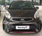 Kia Morning Si 2017 - Bán xe Kia Morning Si màu nâu tại Đồng Nai, giá 383tr, ngân hàng hỗ trợ đến 80%, lấy xe chỉ từ 120tr