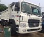 Hyundai HD 370 2010 - Bán lô 4 xe ben 4 chân Hyundai HD370 nhập khẩu Hàn Quốc đời 2010